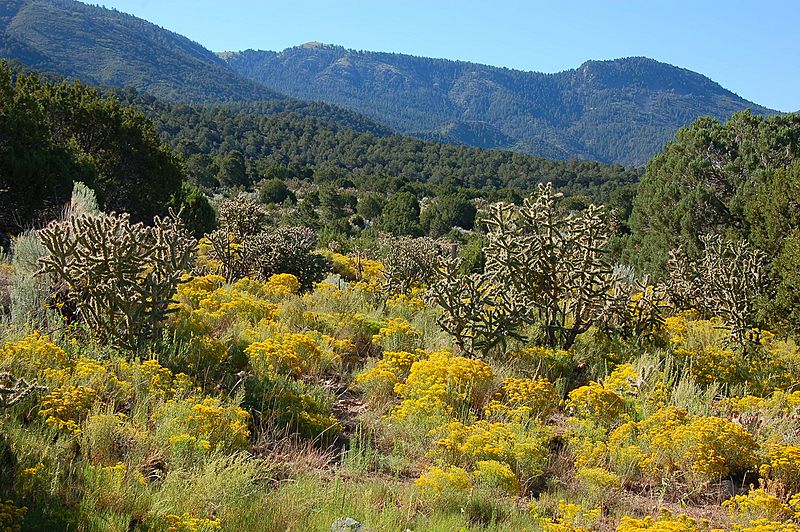 Site of Kelly, NM