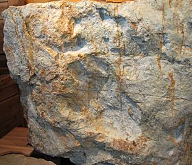 Archivo:Stegosaurus dinosaur footprints in sandstone (Morrison Formation, Upper Jurassic; Quarry 5, Dinosaur Ridge, west of Denver, north-central Colorado, USA) (15354473407)