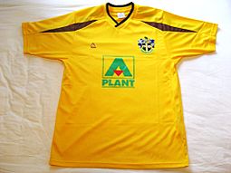Archivo:Sutton United shirt 2010-11