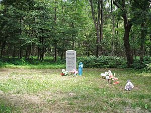 Archivo:Taylor family cemetery, Shenandoah National Park