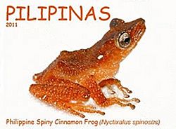 Theloderma spinosum 2011 stamp of the Philippines 2.jpg