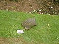 TimothythetortoisePowderhamCastle