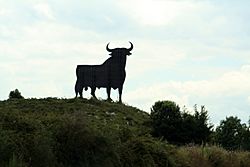 Archivo:Toro de Osborne (Llanes, Asturias) 01
