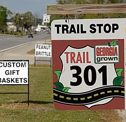 US Highway 301 sign in Glennville.jpg