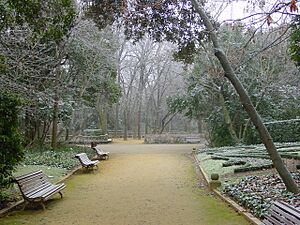 Archivo:Valladolid campogrande invierno01 lou