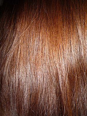 Archivo:Woman with long brown hair, close-up view