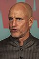 Woody Harrelson 191020-N-NU281-1028 (cropped)