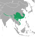 Yellow-bellied Weasel area