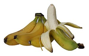 Archivo:Banane Obst