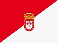 Bandera Cózar.jpg