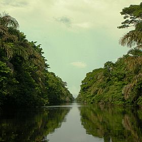 Barra del Colorado Waterway.jpg