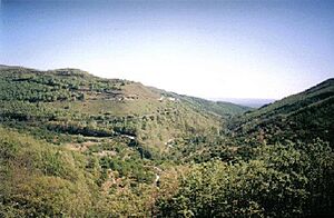 Archivo:Barrado-vista-1