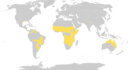 Distribución global de las praderas tropicales y subtropicales (Sabanas).