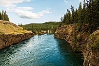 Cañón Miles, Yukón, Canadá, 2017-08-26, DD 142