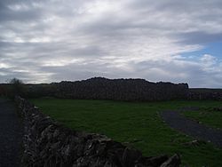 Archivo:Caherconnell stone fort