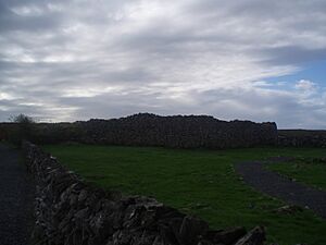 Archivo:Caherconnell stone fort