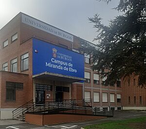 Archivo:CampusMirandaUBU1