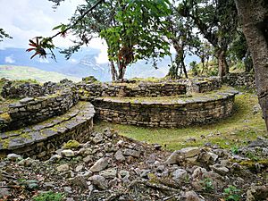 Archivo:Cases rodones de la cultura Chachapoyas de Kuelap
