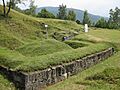 Cetatea Costesti