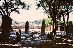 Archivo:Corsica Prehistory Palaghju megaliths