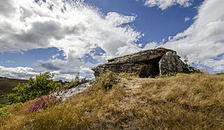 Dolmen de Busnela (49274618428).jpg