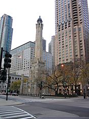 Archivo:Downtown Chicago Illinois Nov05 img 2607