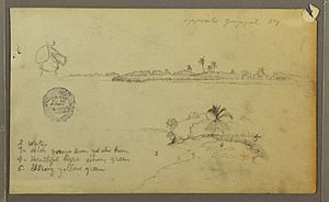 Archivo:Drawing, Views of the East Bank of the Guayas River, opposite Guayaquil, Ecuador, May 1857 (CH 18195763)