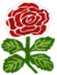 Archivo:England rugby shirt rose 1871