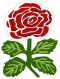England rugby shirt rose 1871