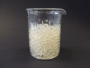 Archivo:Enzymes immobilised in alginate gel