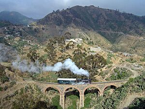 Archivo:Eritrean Railway - 2008-11-04-edit4