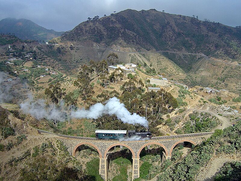 Eritrean Railway - 2008-11-04-edit4