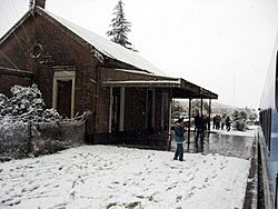 Estación-Santa-Isabel-FCGSM.jpg