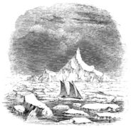Flying Fish near Antarctide