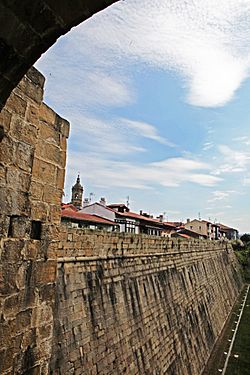 Archivo:Fortificación abaluartada de Hondarribia (Fuenterrabía)