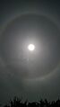 Halo lunar Constitución, región del maule, Chile