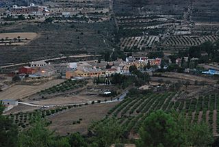 Inazares en el valle.JPG