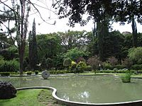 Archivo:Jardín Botánico de Cochabamba Bolivia