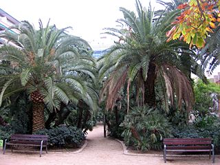 Jardins de Moragas.JPG