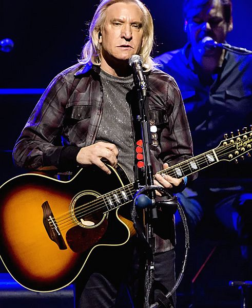 Joe Walsh 2019