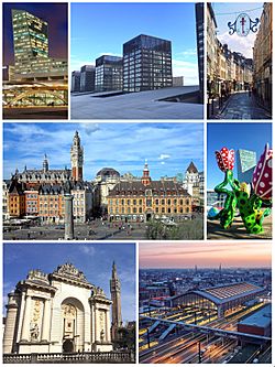 Lille Collage.jpg
