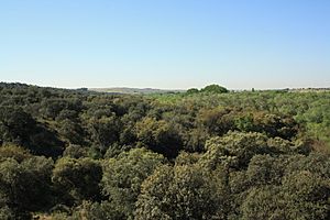 Archivo:MONTEBATRES Y RIO GUADARRAMA - panoramio