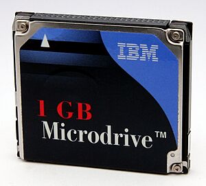Archivo:MicroDrive1GB
