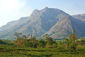 Archivo:Mount Mulanje (15074232123)