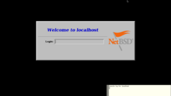 NetBSD 9.2 xdm screenshot.png