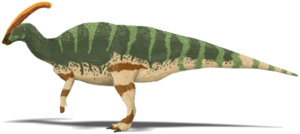 Archivo:Parasaurolophus walkeri