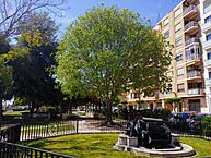 Paseo de Aragón Alboraya