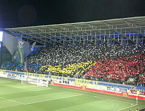 Archivo:Petrolul Ploiesti choreography