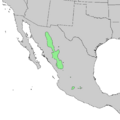 Pinus durangensis range map 1