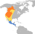 Piranga ludoviciana map
